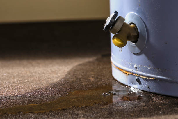 Best Water damage restoration specialists  in Fort Atkinson, WI