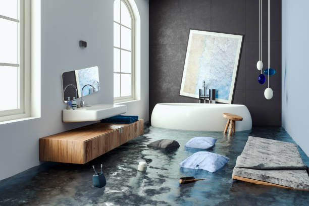 Best Water damage cleanup near me  in Fort Atkinson, WI