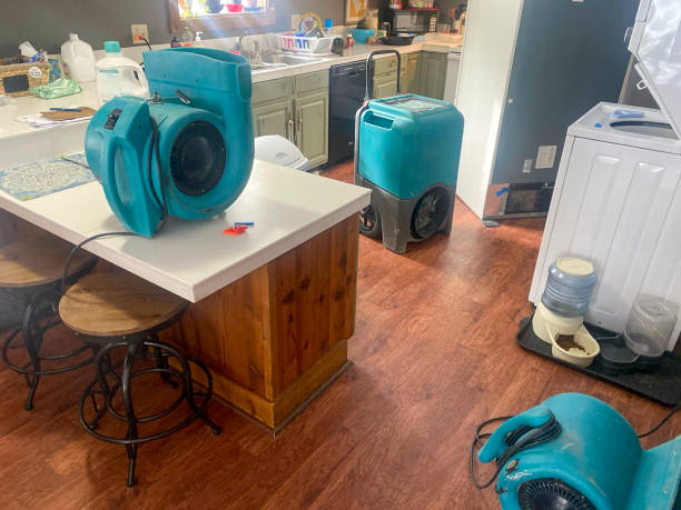 Best Ceiling water damage repair  in Fort Atkinson, WI