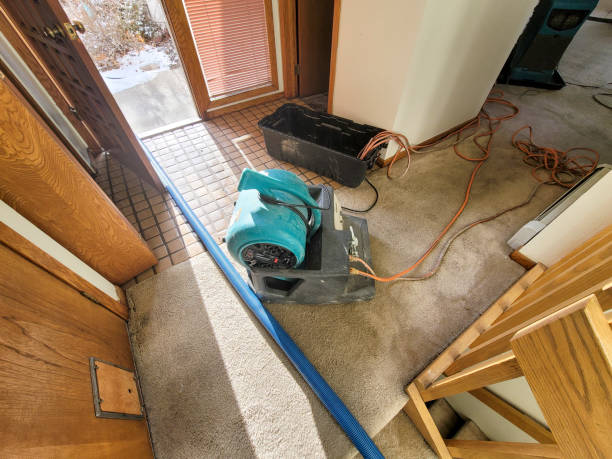 Best Local water damage restoration  in Fort Atkinson, WI
