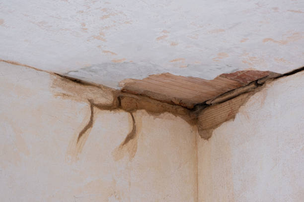Best 24/7 water damage repair  in Fort Atkinson, WI