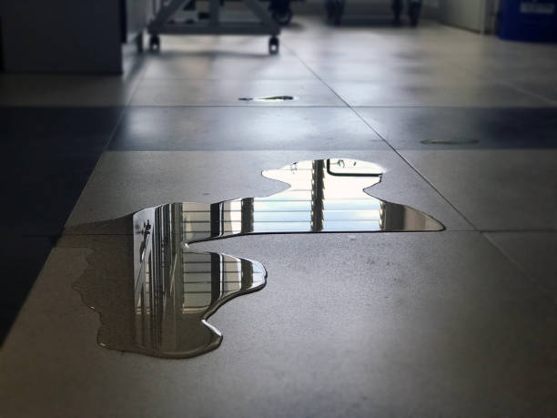 Best 24-hour water damage restoration  in Fort Atkinson, WI