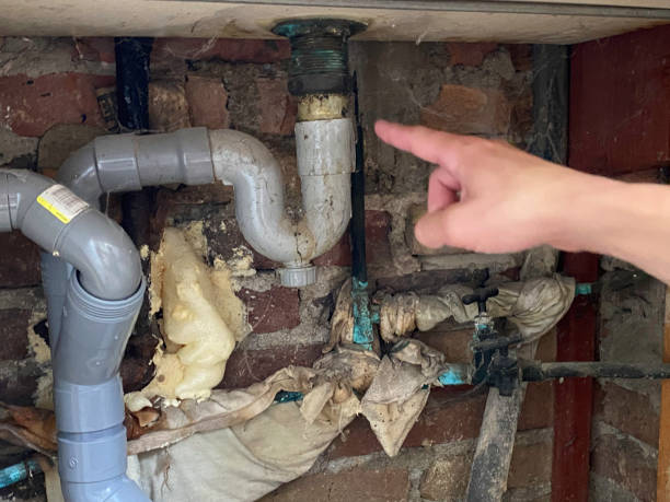 Best Flood damage cleanup  in Fort Atkinson, WI