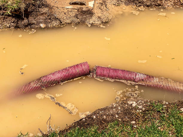 Best Carpet water damage restoration  in Fort Atkinson, WI