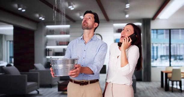Best Ceiling water damage repair  in Fort Atkinson, WI